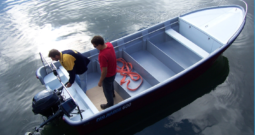 PROMARINE 600