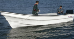 PROMARINE 700