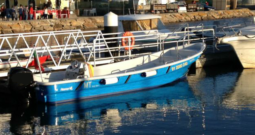 RIAMAR ACAPULCO 700