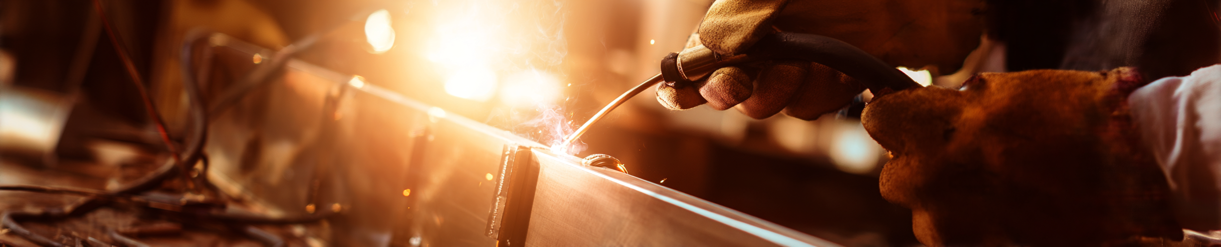 Reparação e Remodelação