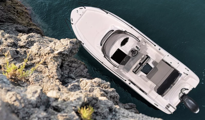 RANIERI Sauvage22 completo