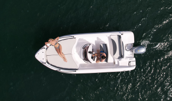RANIERI SHARK 19 completo