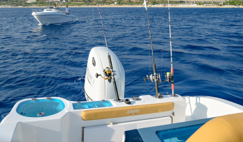 RANIERI RENEGADE 22 completo